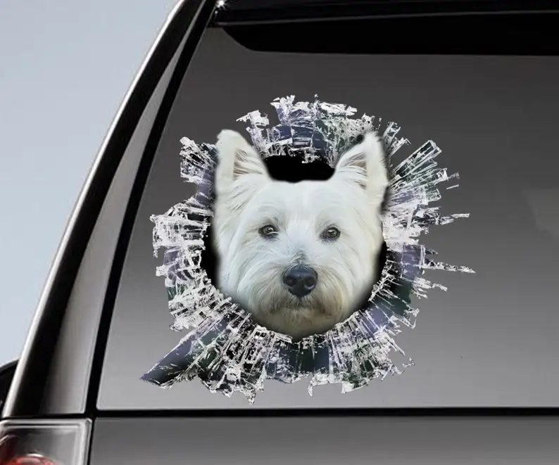 Westie window sticker, car sticker, westie car decal