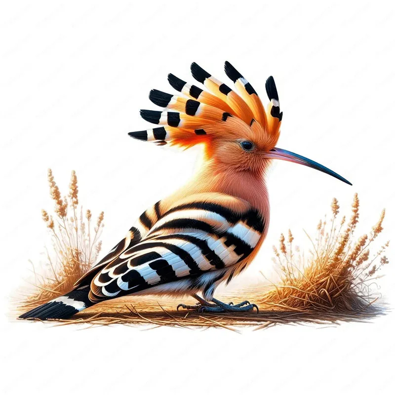 

Реалистичные наклейки на туалет с птицей Hoopoe