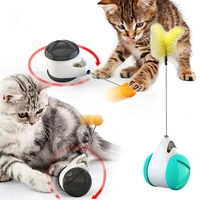 pet cat swing toy cats balance car rocking toy kitten to chase interactive tumbler with catnip interesting pet play products