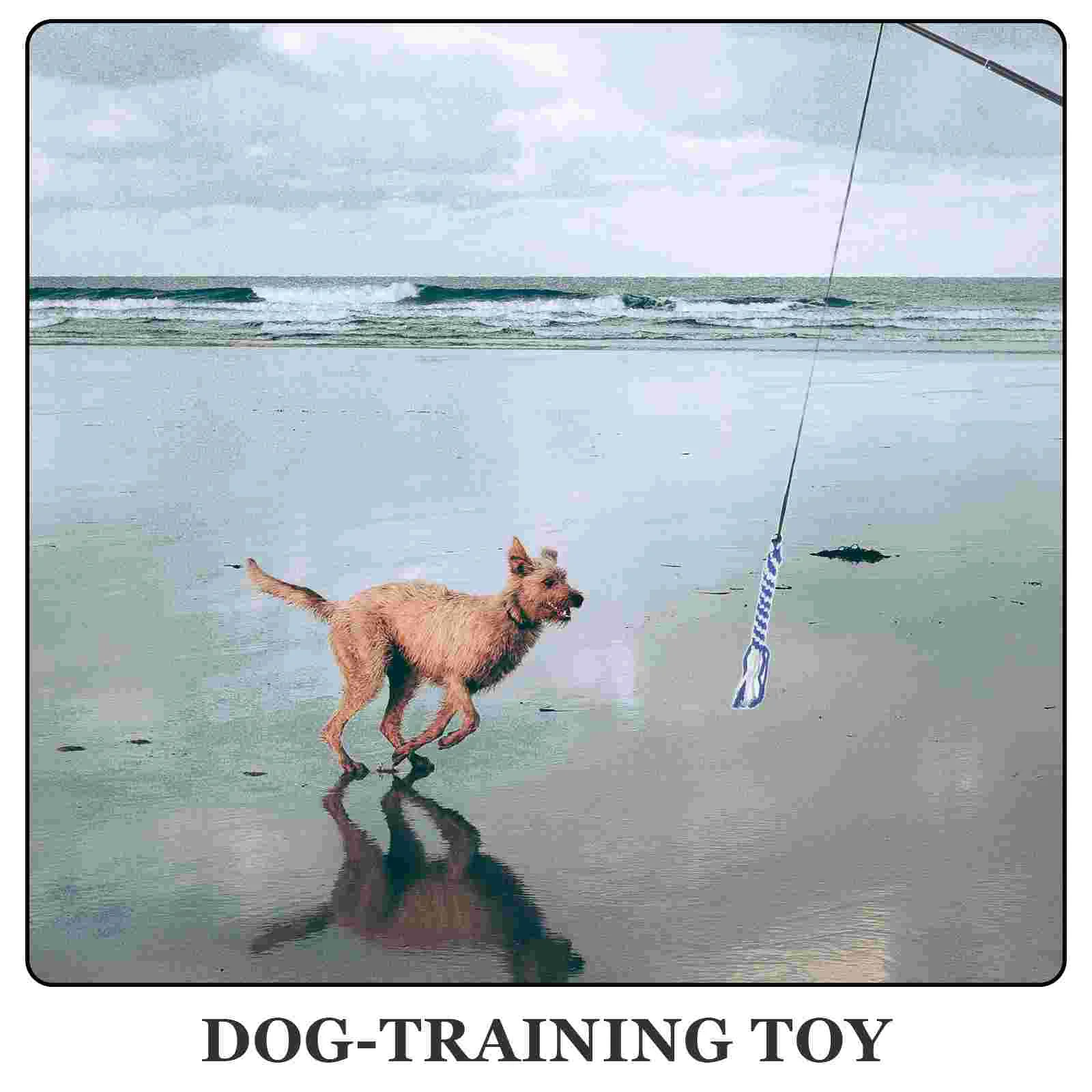 Оборудование для тренировки ловкости собак выдвижной поводок флирта домашних