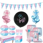 Пол раскрывает вечерние украшения посуда бумажные стаканчики и тарелки мальчик или девочка баннер детский воздушный шар Фотофон 