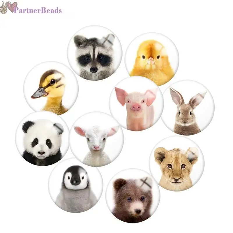 

Круглый Кабошон для фото с животным, демонстрация плоской задней поверхности, фурнитура для изготовления застежек 20 мм, N2771