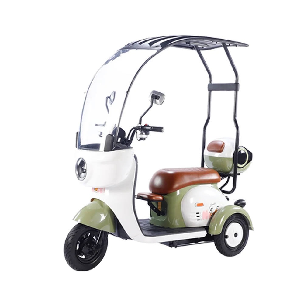 

Electric Tricycle 800W 48/60V 20AH Range 65KM 15km/H GPS Drum Brake Scooters with Shed