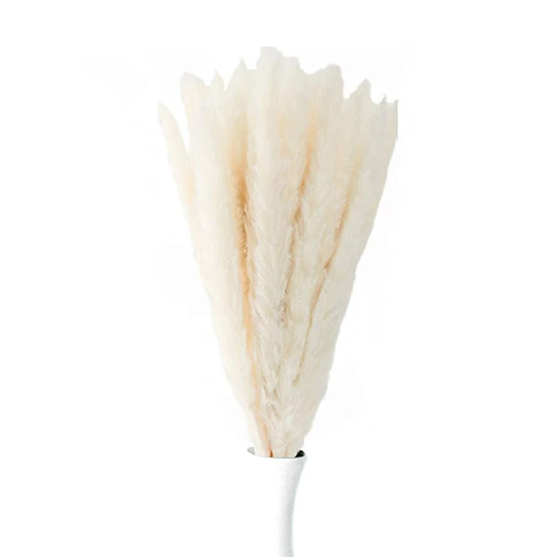 

40 Pack White Dried Pampas Grass Decor 18In With Safe Box Pampas Grass Large Pampas Grass Small Dry Pampas Grass