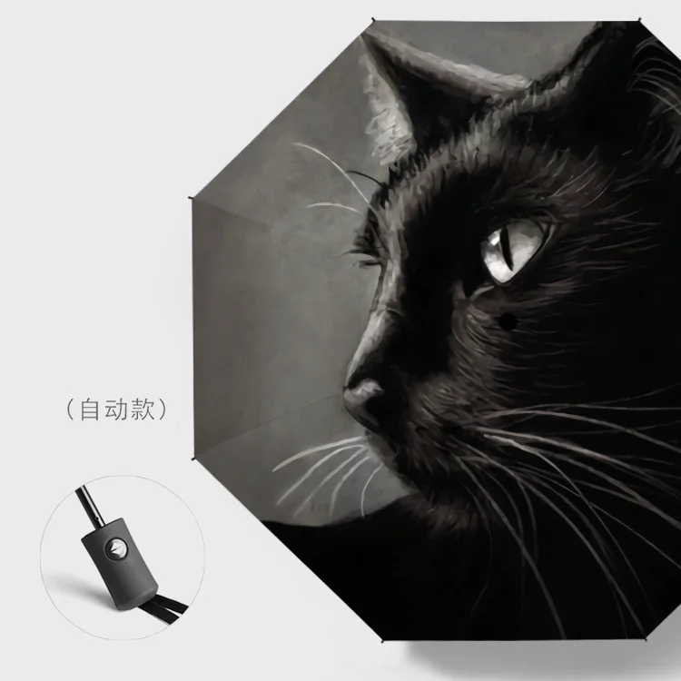 

Мужской автоматический зонт Black Cat