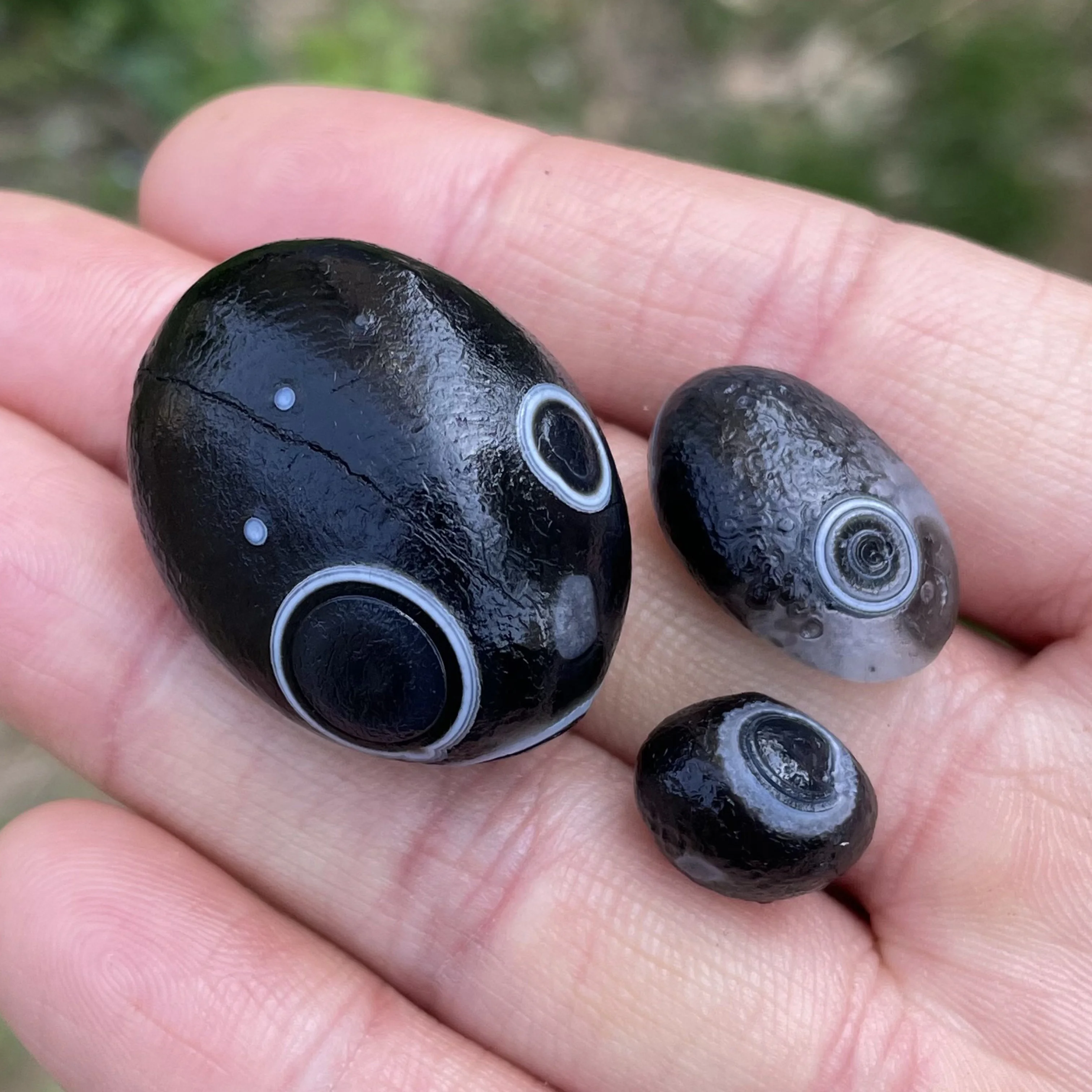 Натуральный черный агат Sardonyx Alxa Gobi Eye Rock минеральный образец энергетический