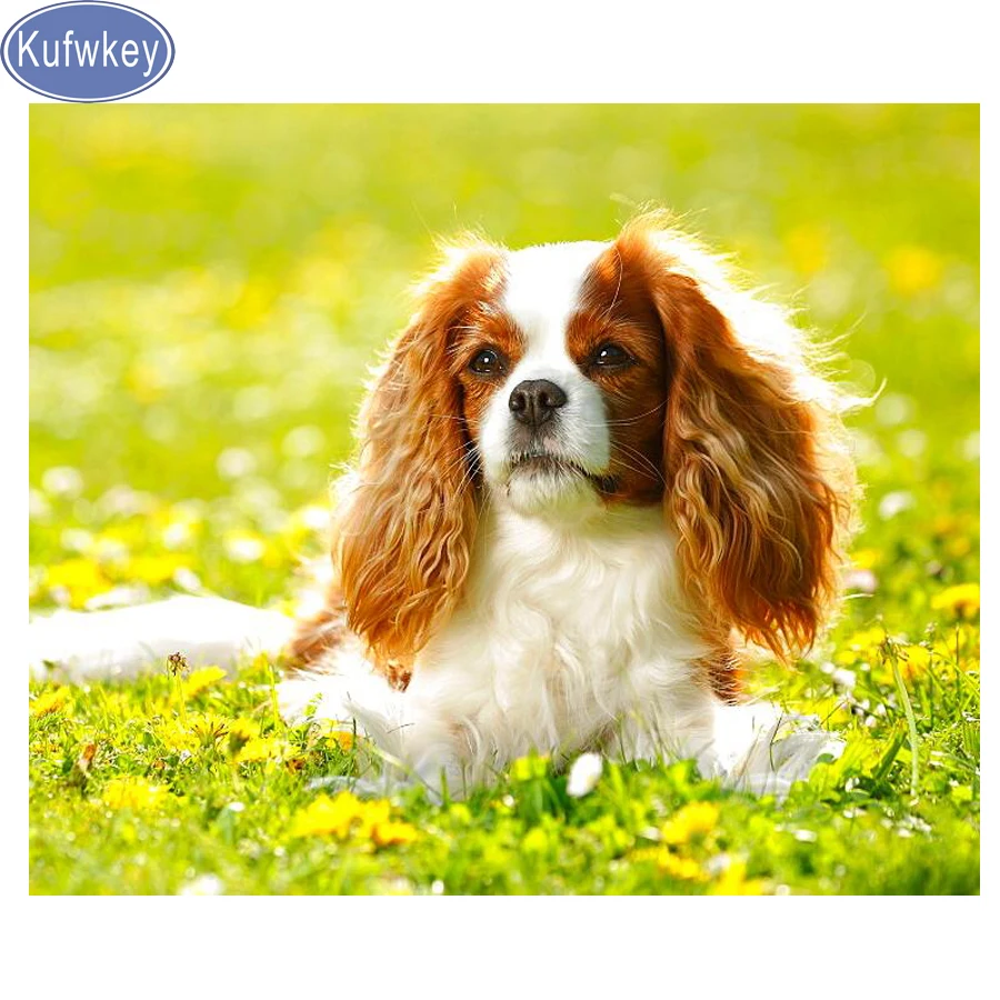 Алмазная мозаика KUFWKEY Cavalier King Charles Spaniel