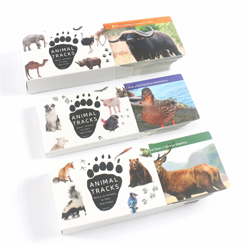 

Montessori Materials Animal Footprint Learning Eudcation Toys For 3 Year Olds Learning Activities Toys For Children D86Y
