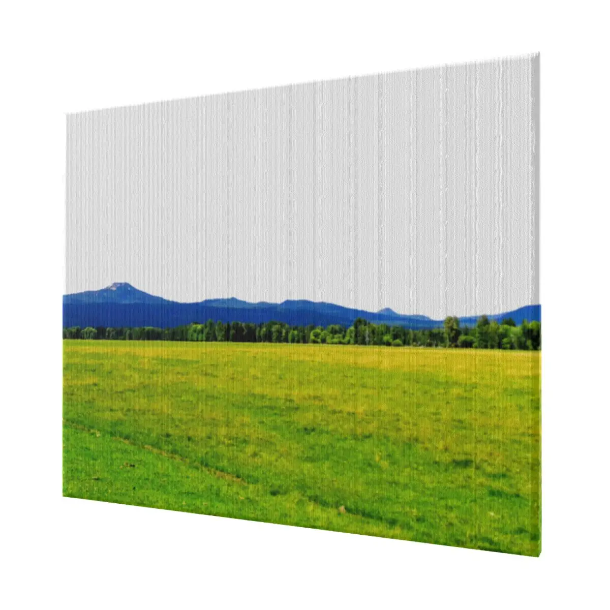 

American West Prairie Fashion home decoration painting, Hotel, living room, bedroom decorative paintings