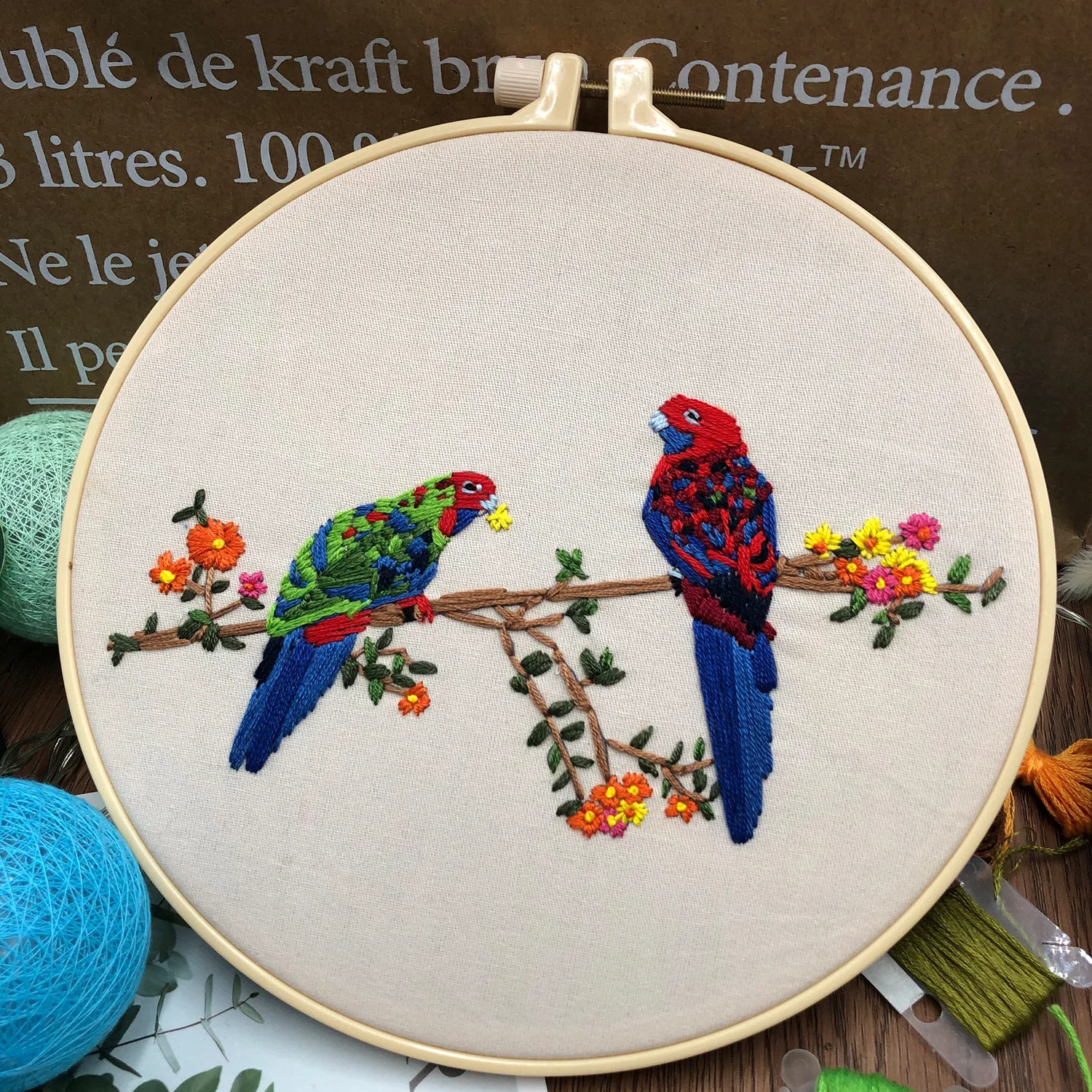 

Набор для вышивки своими руками, творческий Набор для вышивания для начинающих с попугаями, искусственные нити 20 см с цветной нитью
