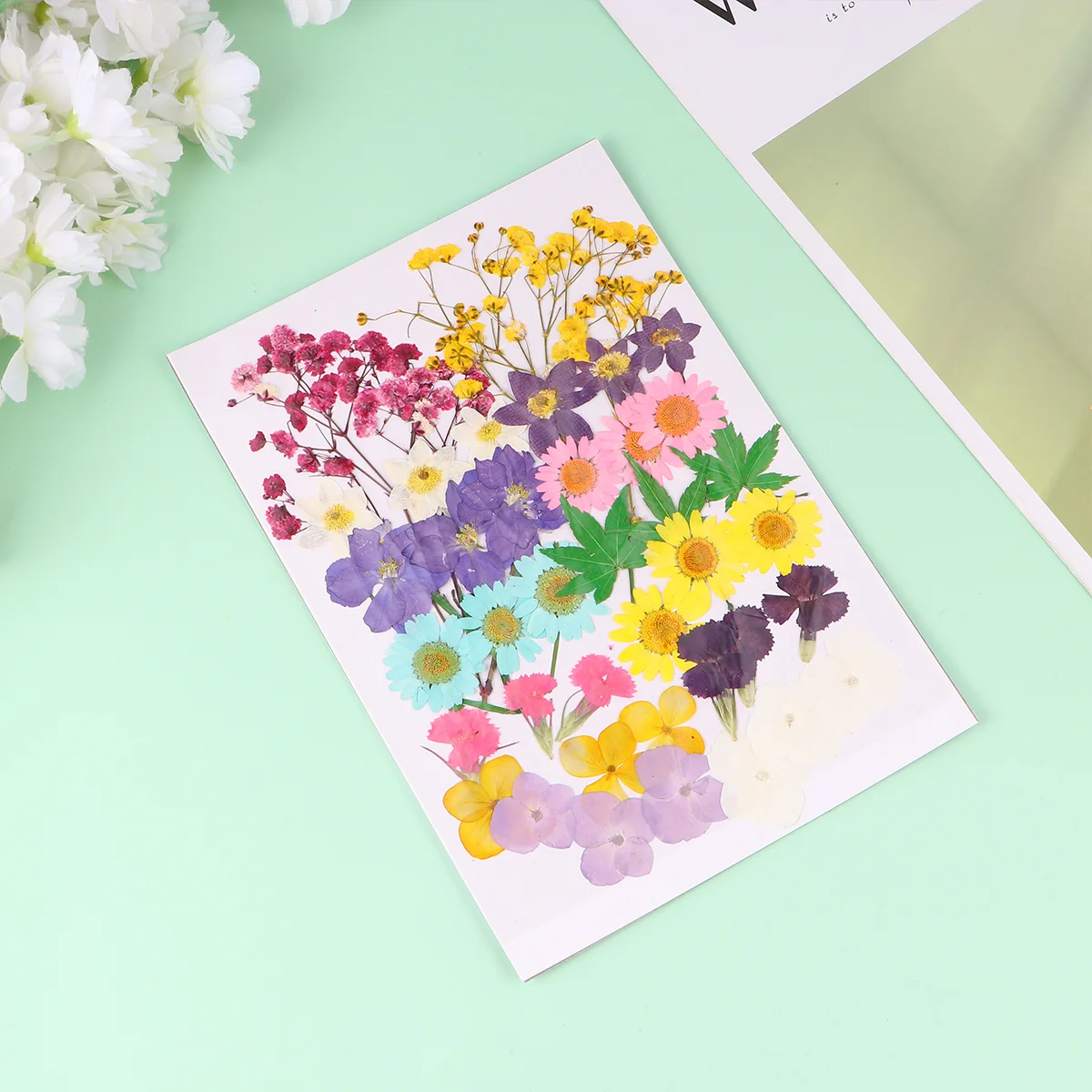 

Flower Dried Flowersdry Resin Pressed Nails Craft Nailscrapbooking Suppliesspecimen Petalsdecorating Making Material