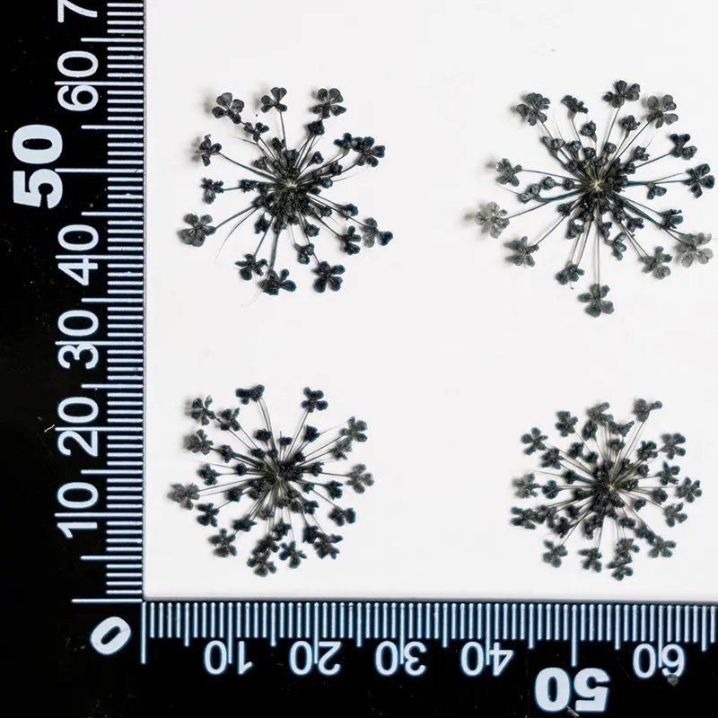 

Мини-лепестки цветов, 12 шт., окрашенные, 2-2,5 см