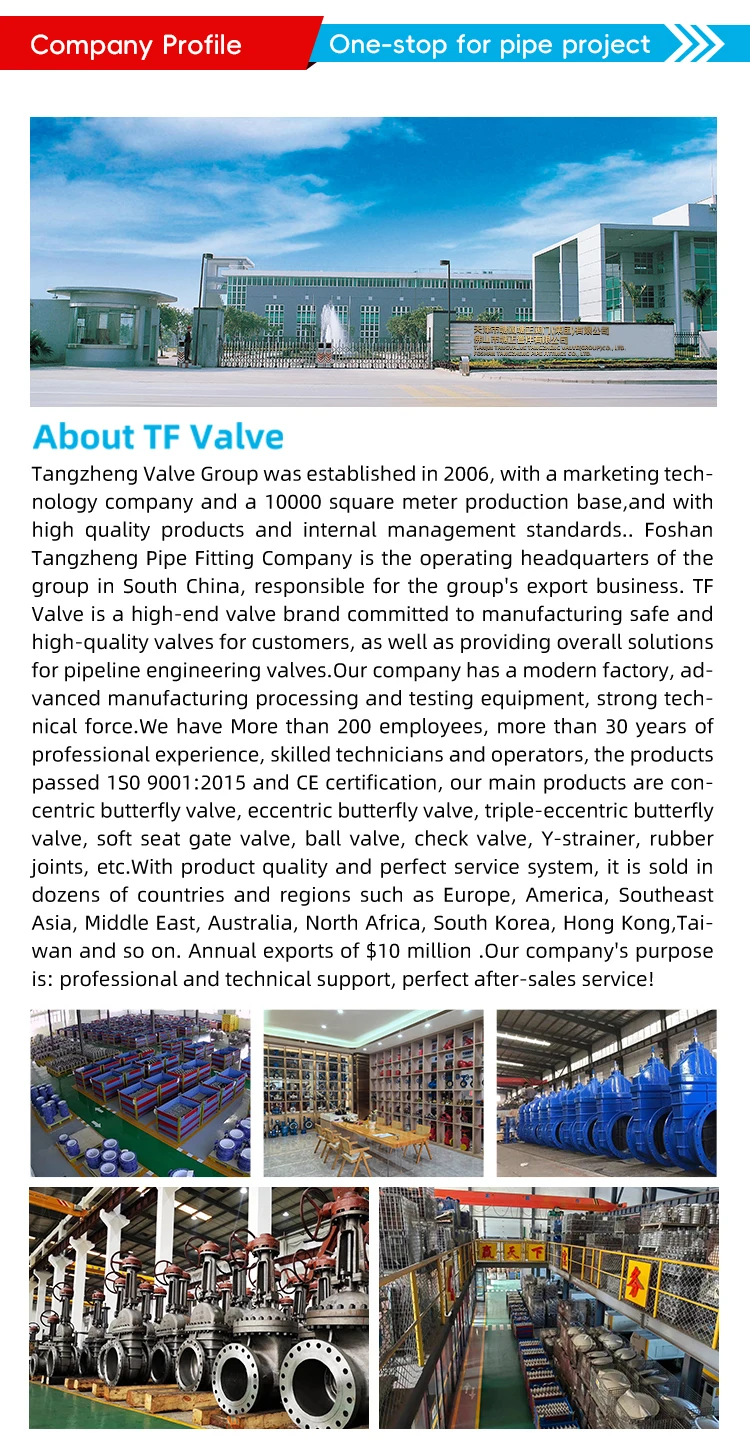 Электрический привод TF с моторизованной литой из нержавеющей стали шаровой