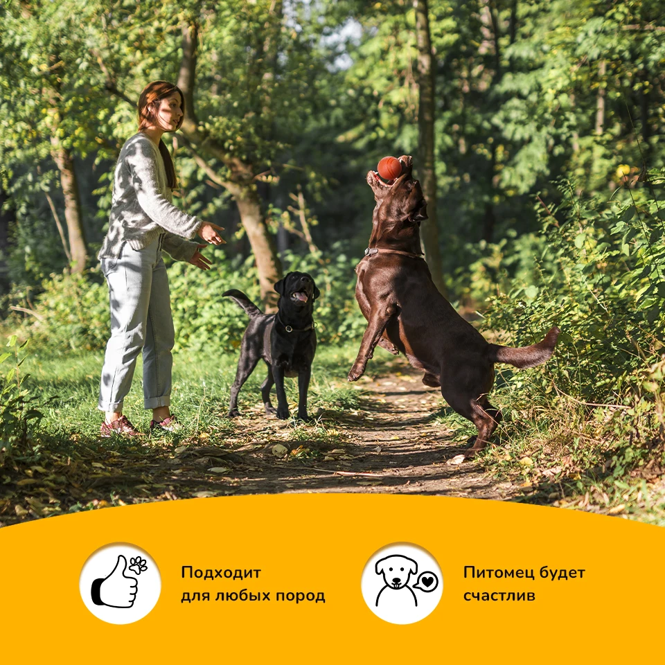 Резиновый мяч-игрушка для собак &quotSUPER ЁЖ&quot РА-024 диаметр 7см.