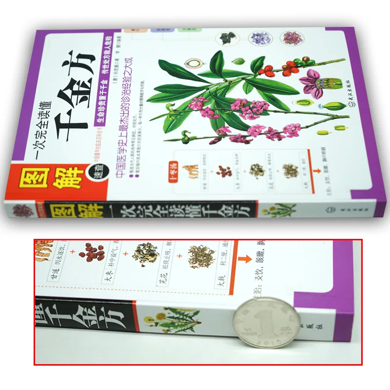 Рисунок 2 - Схема традиционной китайской медицины Qianjinfang