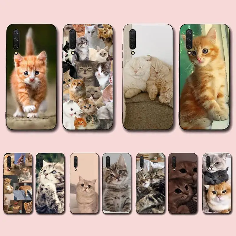

Cats Phone Case for Xiaomi mi 5 6 8 9 10 lite pro SE Mix 2s 3 F1 Max2 3