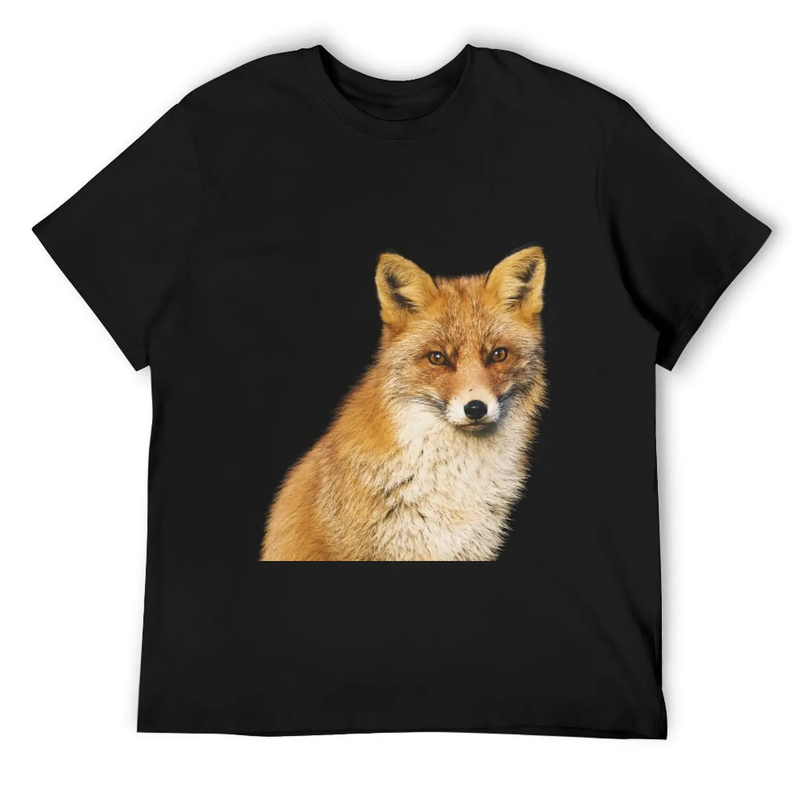 Sly Fox футболка хлопок мужская