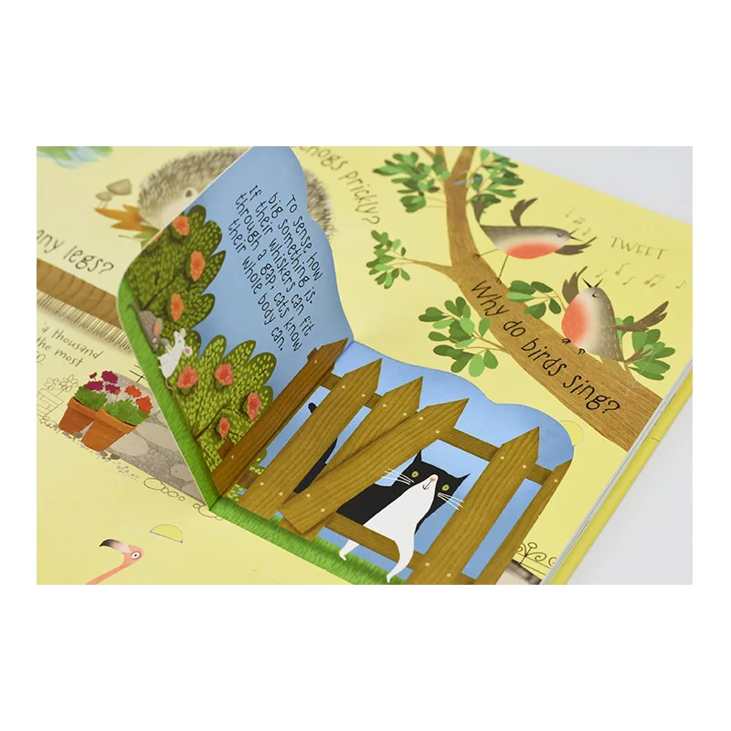 Рисунок 4 - Новинка, 14 книг с подъемником через Usborne