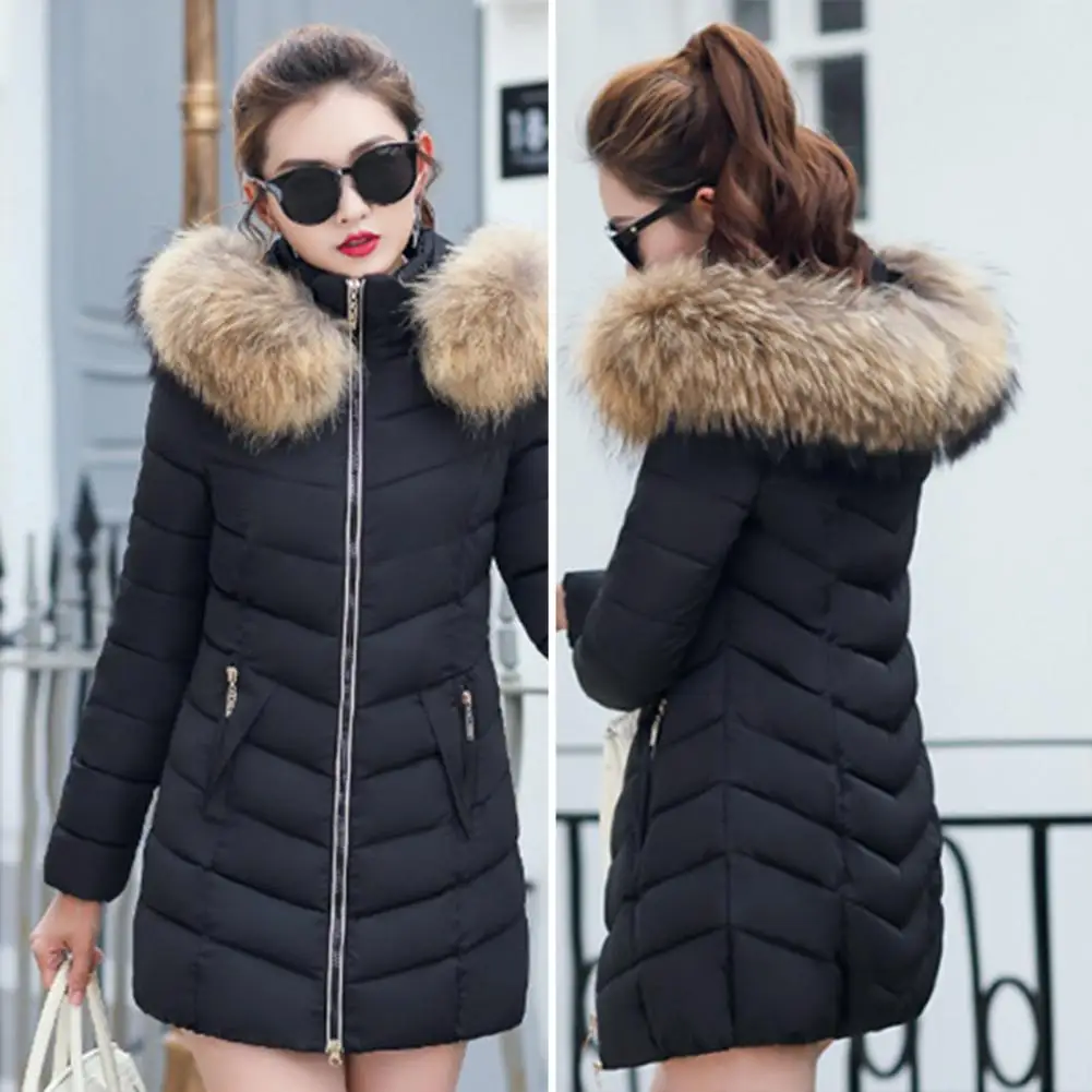 

Женское пальто с капюшоном, женское хлопковое пальто на молнии, модное однотонное хлопковое пальто на молнии