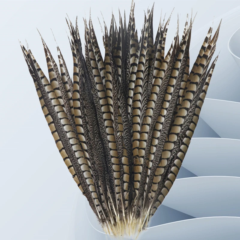 

10Pcs/Lot Natural Lady Amherst Pheasant Feathers for Extensions Decoration Long Wedding Accessories Carnival Decor for Clothes