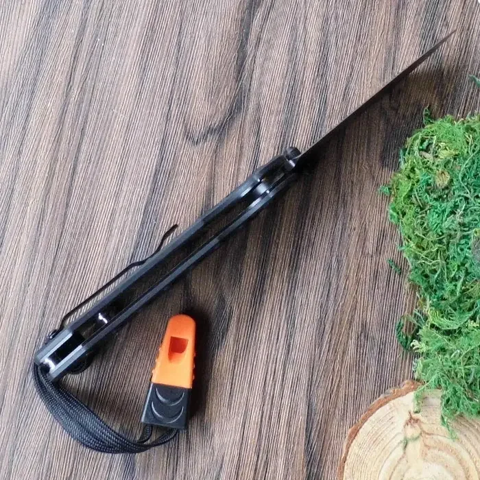 Ganzo G7453P FIREBIRD FBKNIFE 58-60HRC 440C G10 Ручка со свистком Складной нож Инструмент для