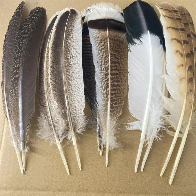 

10Pcs Eagle Feathers Headdress Accessories Holiday Decoration Carnival Pheasant Feathers for Crafts Plume DIY Handicraft Decor