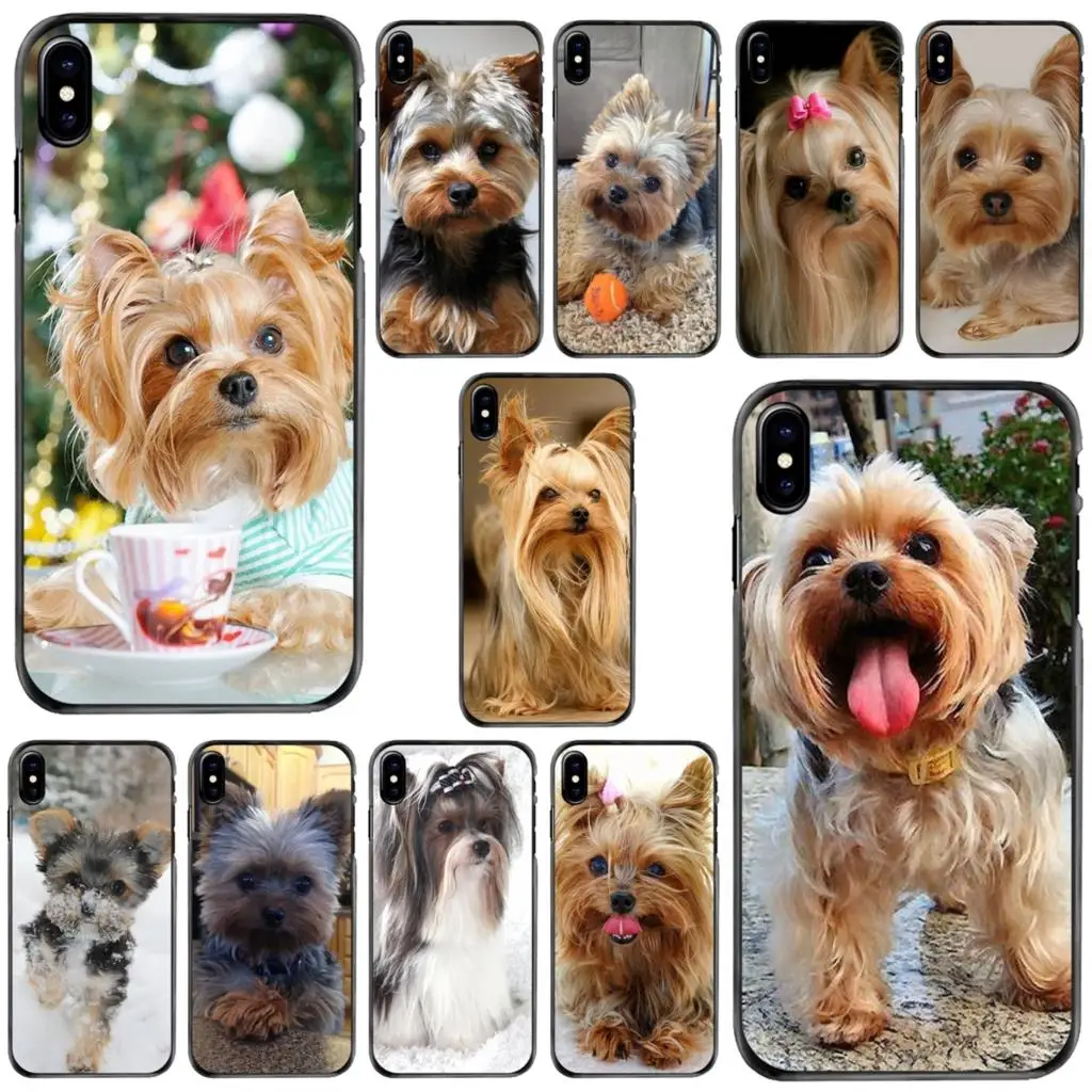 

Yorkshire terrier dog puppy Pattern Hard Case Cover For Apple iPhone 11 12 13 14 Pro MAX Mini 5 5S SE 6 6S 7 8 Plus 10 X XR XS