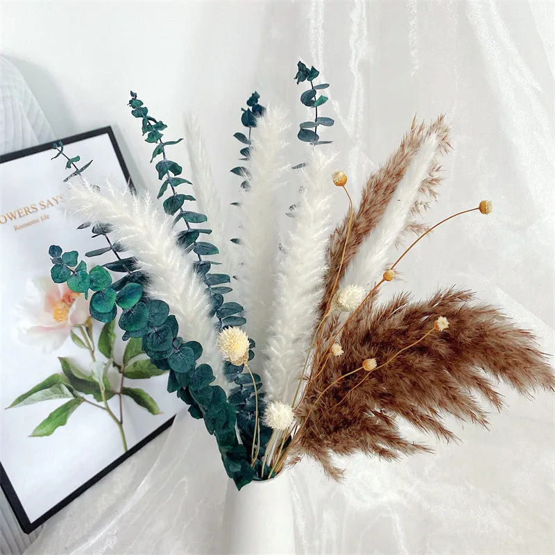 

New Immortal Eucalyptus Leaf Small Reed Dried Flower Bouquet Nordic Style Pampas Furniture Decoration