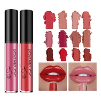 new liquid lipstick cosmetics lip gloss tint long lasting velvet cream lips colors matte lipstick makeup pigment