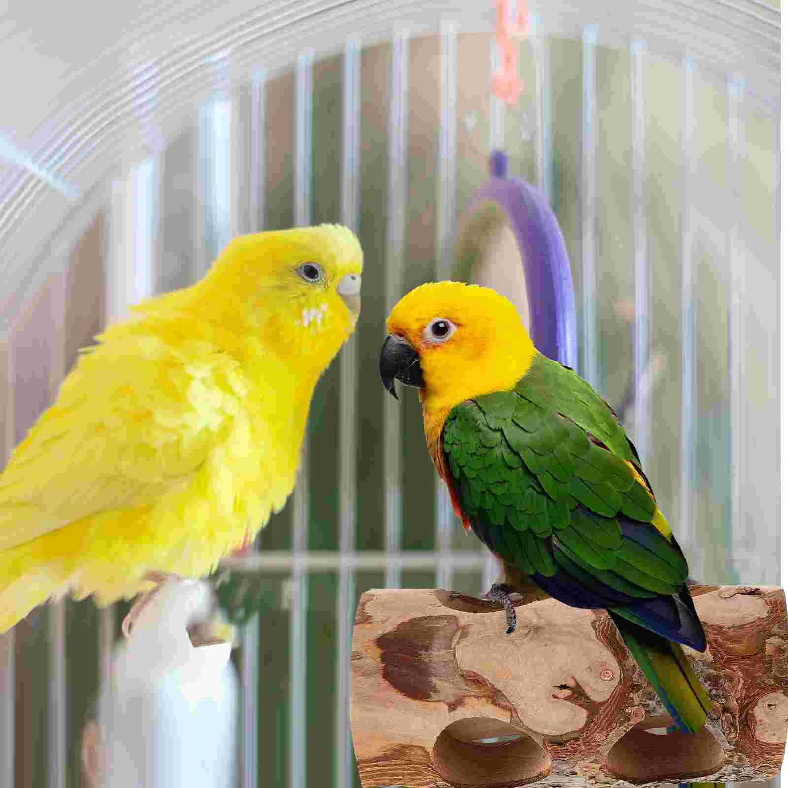 

Parrot Toys Comforting Biting Playthings Rabbit Teething Bunny Chew Wood Parrots Animals Chewing Natural