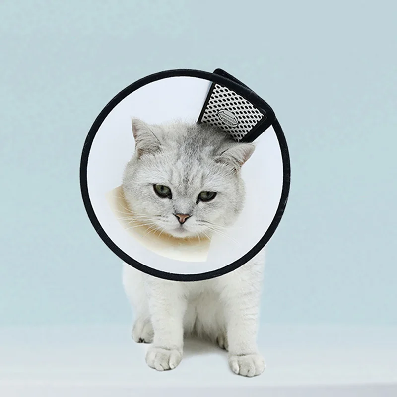 After Surgery Anti-Bite Cat Dog Collar Soft Pet Grooming Cover for Cats Dogs Animals Cut Nails Clean Up Wounds Pets Accessories
