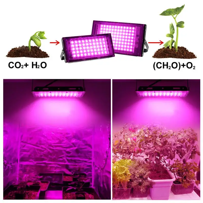 

Full Spectrum LED Grow Light With Stand IP65 Waterproof Phyto Lamp Switch For Greenhouse Hydroponic Plant Growth Lighting