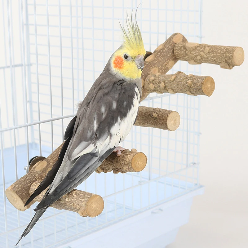 

Natural Wood Parrot Perch Bird Stand Paw Grinding Fork Parakeet Climbing Standing Branch Ladder Toys Bird Cage Accessories