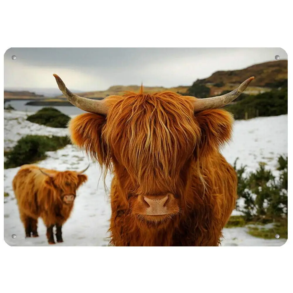 

Yak Vintage Metal Sign Bar Club Home Zoo Farm Wall Decoration 12x18 Inches