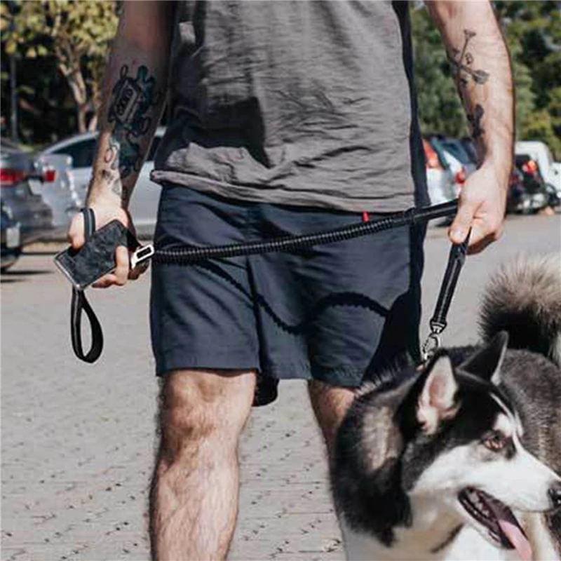 

New Dog Leash Retractable Fashion Reflective Adjustable Car Seat Belt Leashes Pet Product For Medium And Large Dog Collar Leash