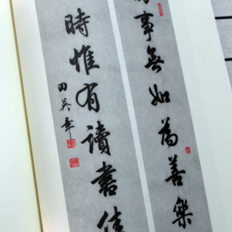 Тетрадь Tian Yingzhang с кисточкой шрифт для бега вводное Обучение каллиграфии учебный