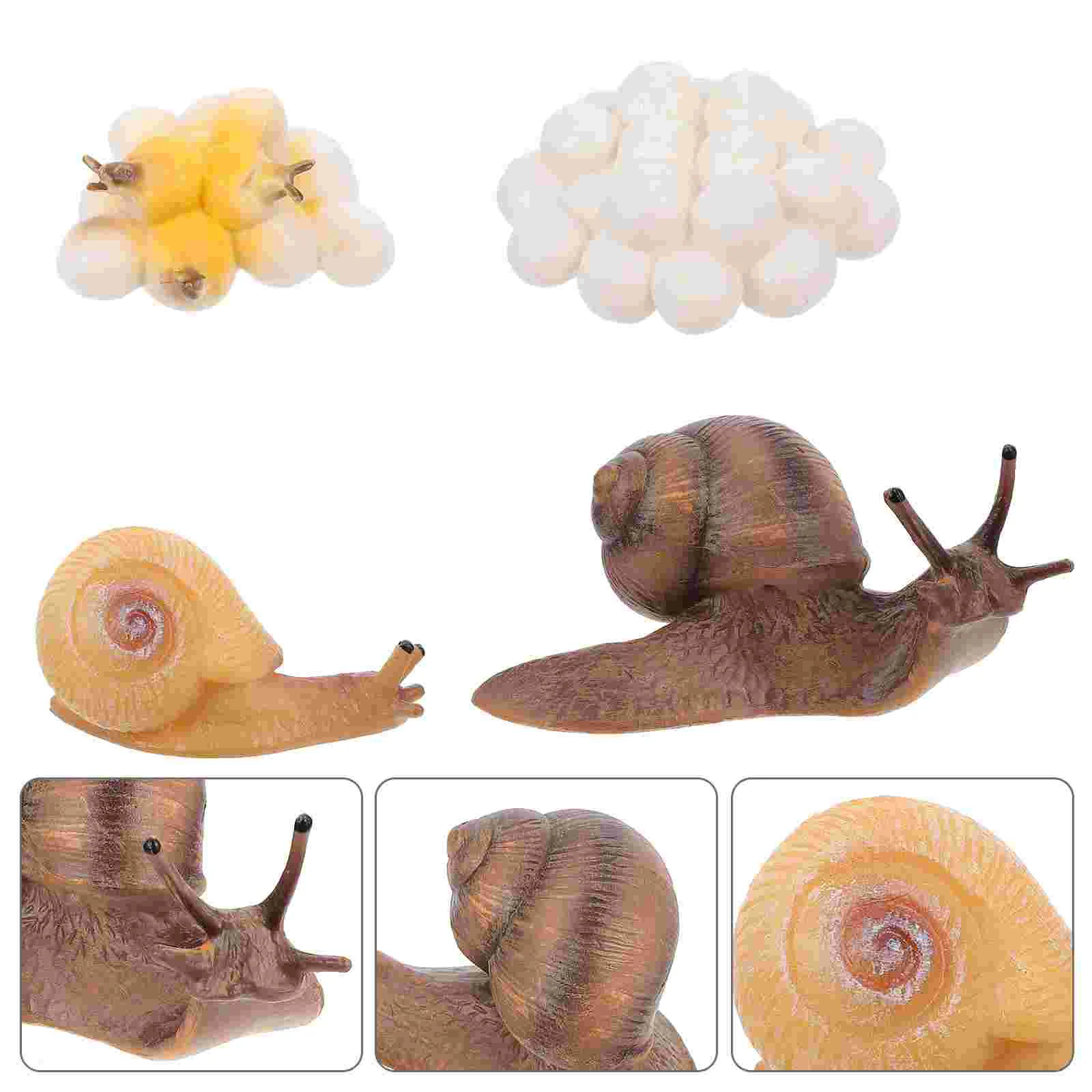 

4 Pcs Sea Turtle Decor Simulated Snail Ornaments Life Cycle Toy Statue Animals Growth Figurines Child