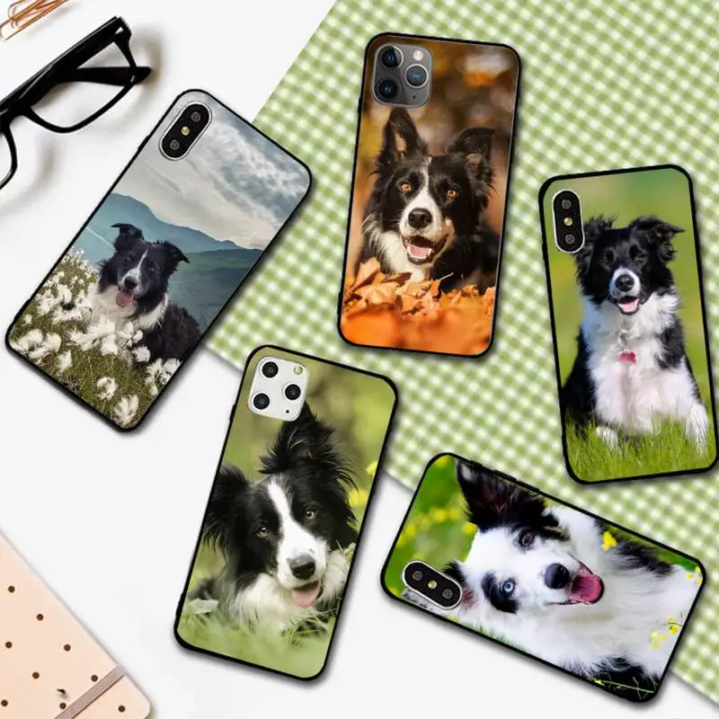 

Border collie dog animal Phone Case For iphone 12 11 13 7 8 6 s plus x xs xr pro max mini shell