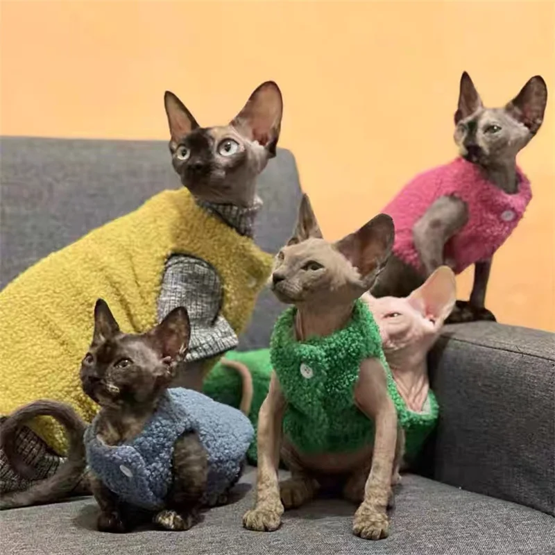 

Зимний замшевый жилет с изображением сфинкса, кошки без волос, кардиган, куртка с изображением кота, хлопковое пальто, одежда для кошки