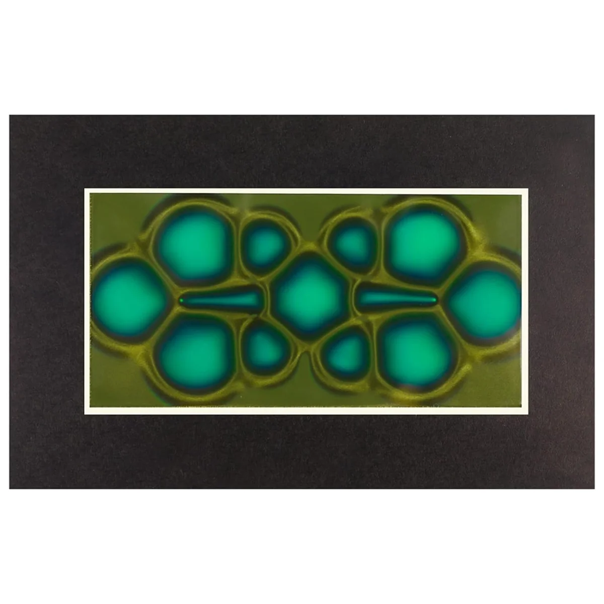 Магнитная смотровая пленка 2-дюймовый x 4-дюймовый просмотр магнитного поля для