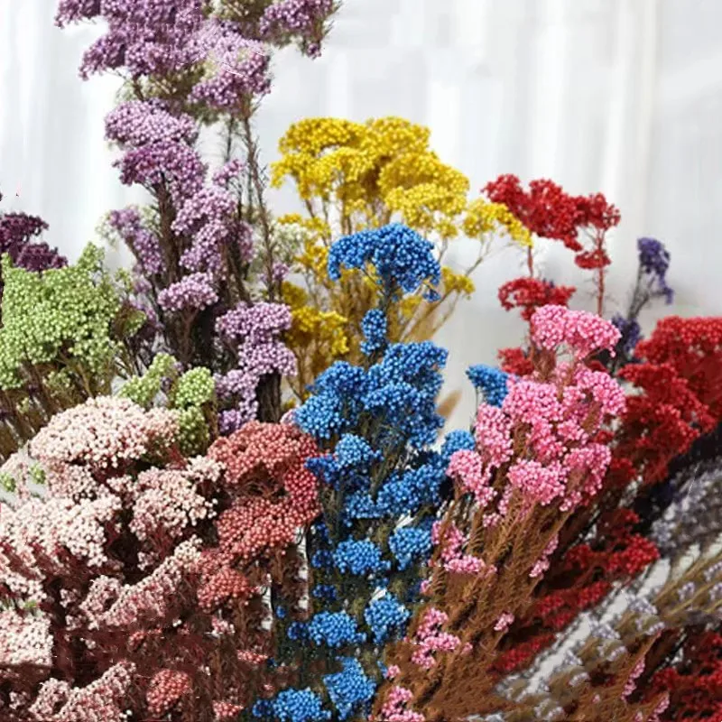 

50g Natural Millet Fruit Dried Flower Artificial Christmas Offers Free Shipping Autumn Deco Bridal Bouquets White Christmas Deco