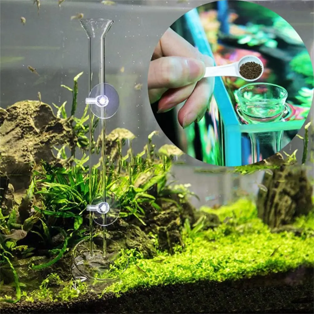 

Glass Aquarium Feeder Tube Dish Transparent Fish Tank Shrimp Snail Food Feeder Bowl Aquarium Feeding Accessories Shrimp Feeders
