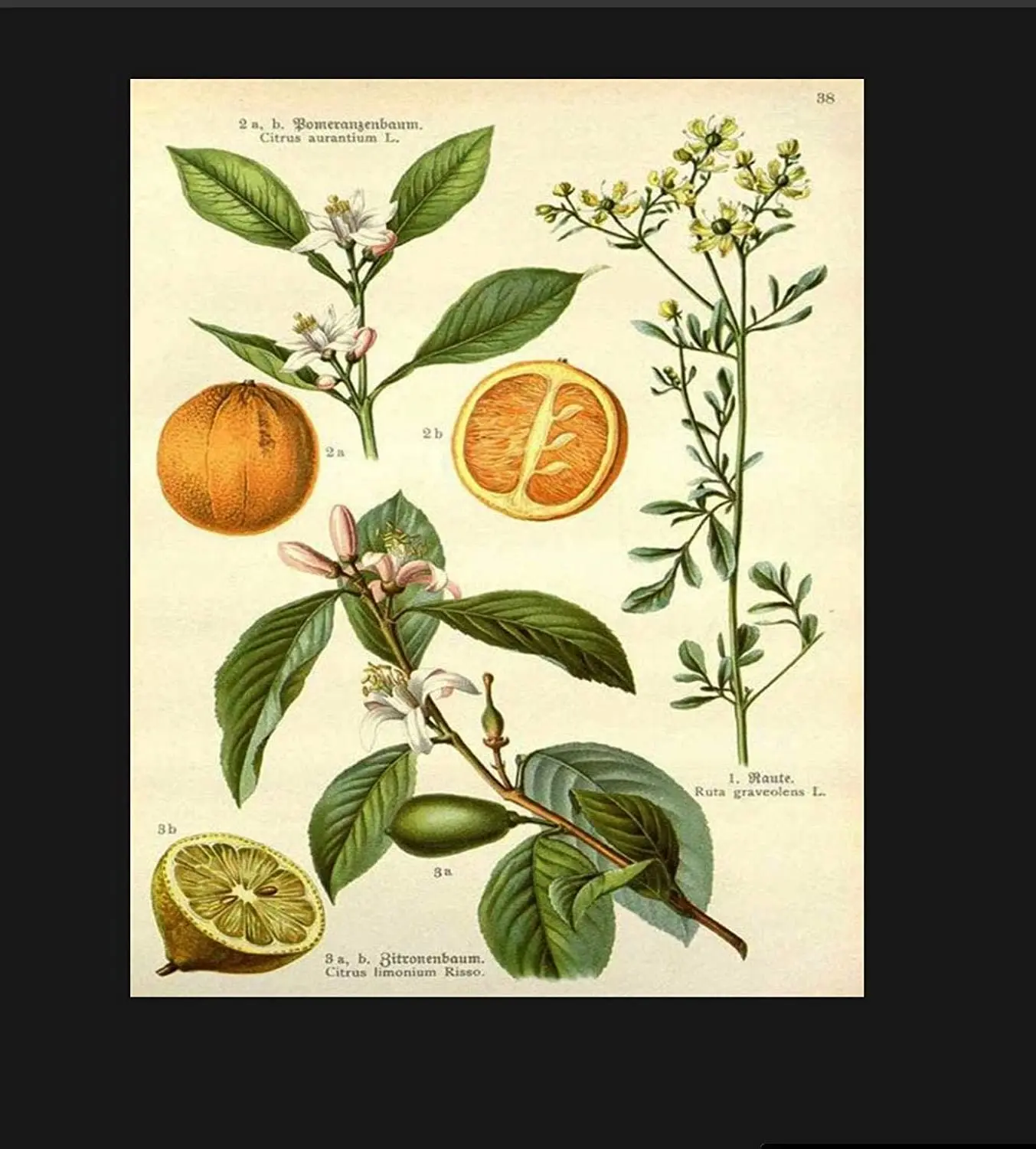 Жестяной знак с лимоном винтажный Настенный декор для кафе бара домашнее