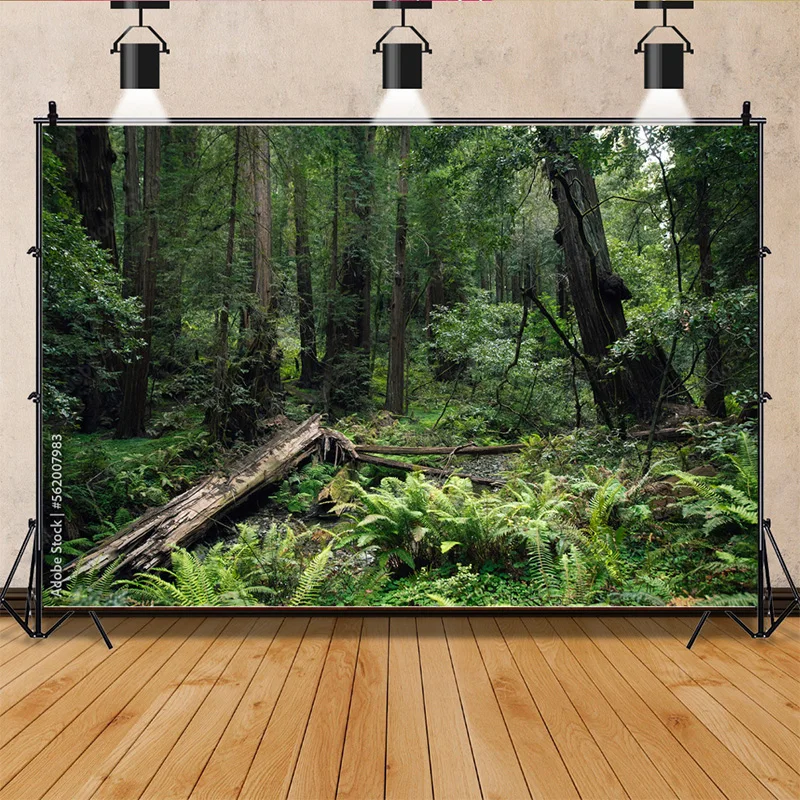 Мох покрытый опалыми деревьями зеленого хвойного леса фон для фотосъемки