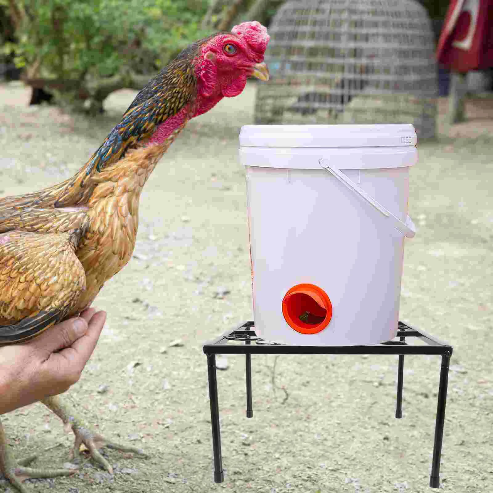 

Chicken Feeder Rack Support Frame Dust Bath Container Holder Iron Metal Coop Stand Waterer Holding