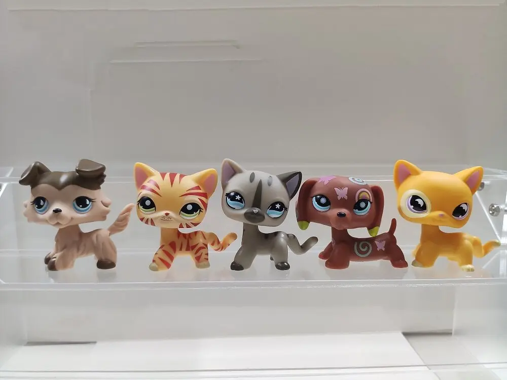 

5pcs/lot LPS Action Figure pet shop cat dog #893#1415#468#1010#855 Littlest Pet Shop kid toy
