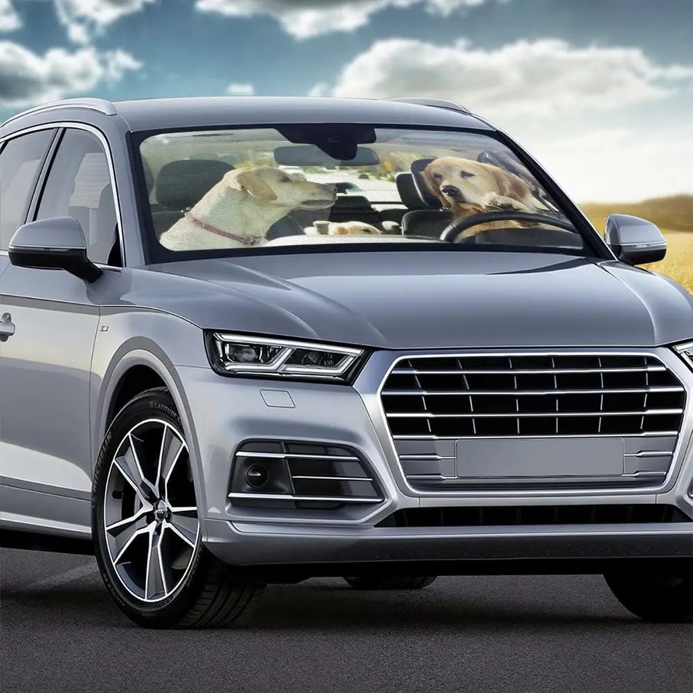 Рисунок 4 - Автомобильный солнцезащитный козырек для лета