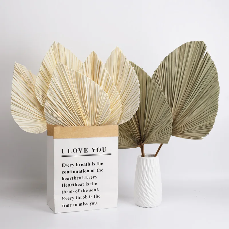 Natural Dried Palm Leaves Tropical Dried Palm Fans Boho Dry Leaves Decor For Home Kitchen Wedding Bouquet Fleure Sechee