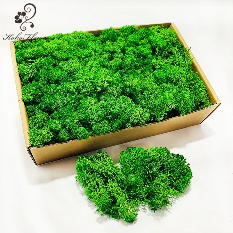 

Цветок Koko 20 г/50 г, Высококачественный искусственный неувядающий мох, зеленые растения для дома, гостиной, сада, Декор, микро-ландшафт, поделк...