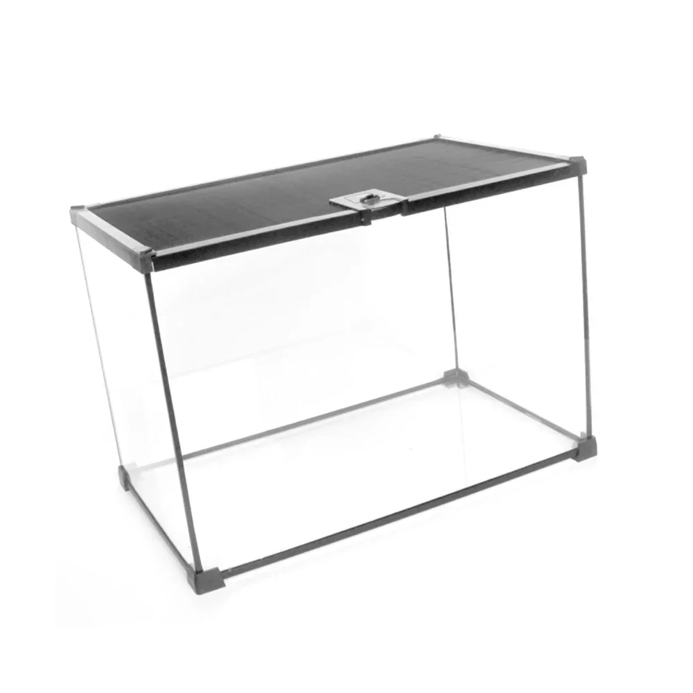 Высококачественная маленькая квадратная фотография бокс для тарана муравьиной